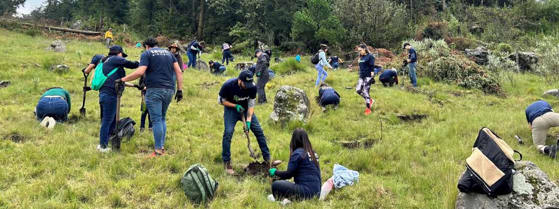 article-hero-mexico-sustainability-min article-hero-mexico-sustainability-min