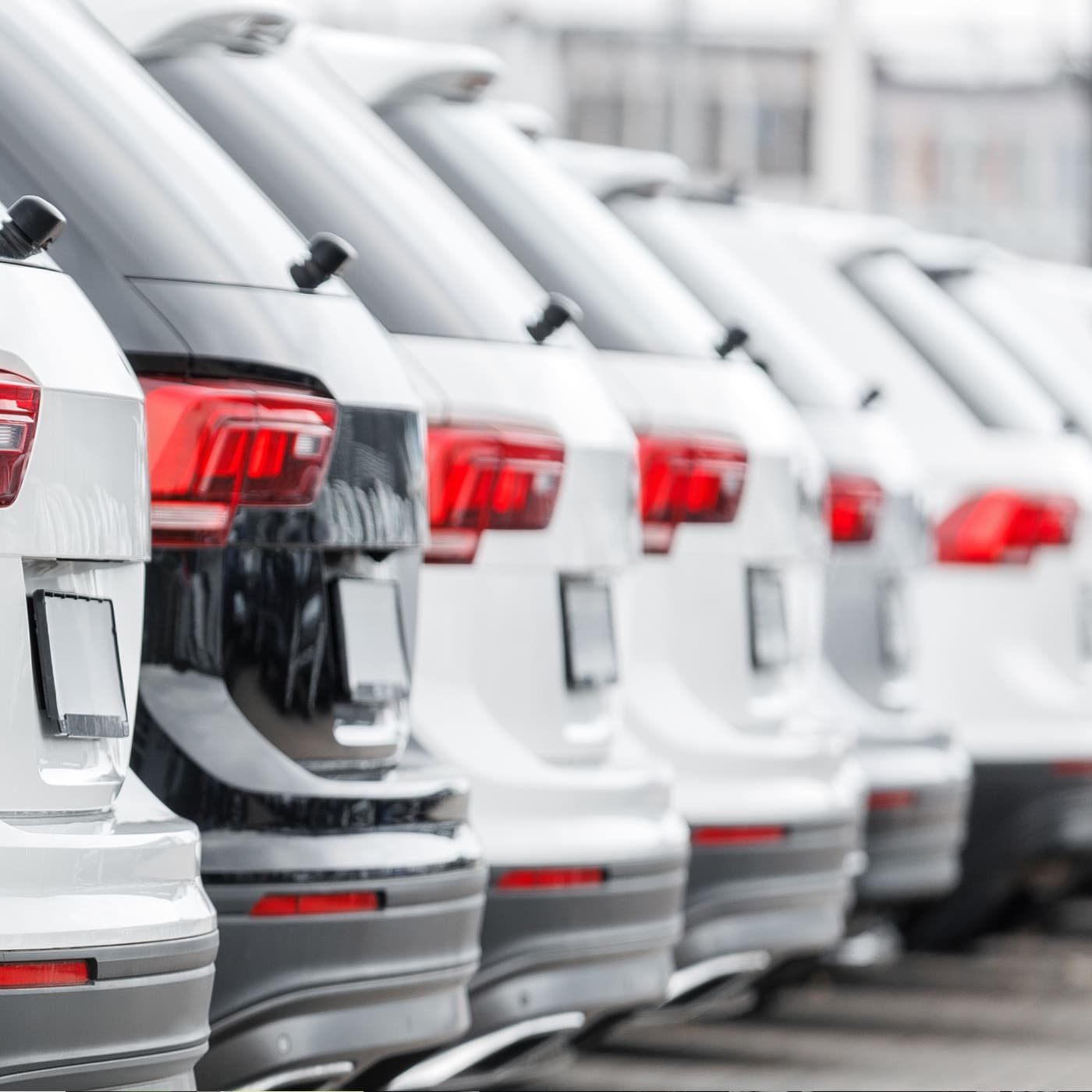 Back view a fleet of new SUV cars fleet stock at dealership parking lot. Back view a fleet of new SUV cars fleet stock at dealership parking lot.