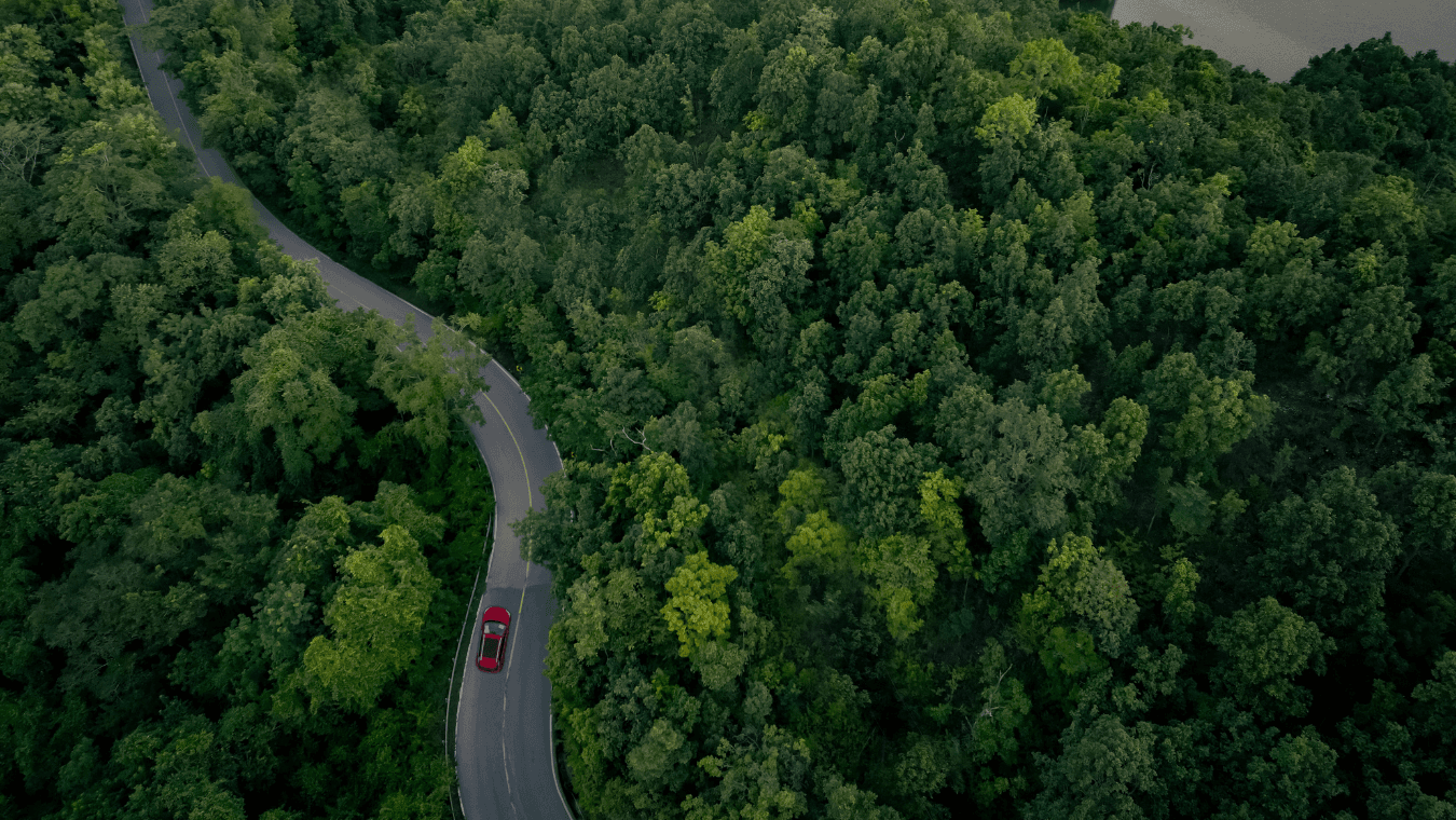 subcategory-car-in-green-forest subcategory-car-in-green-forest