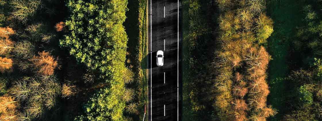 vehiculo en carretera en medio de bosque